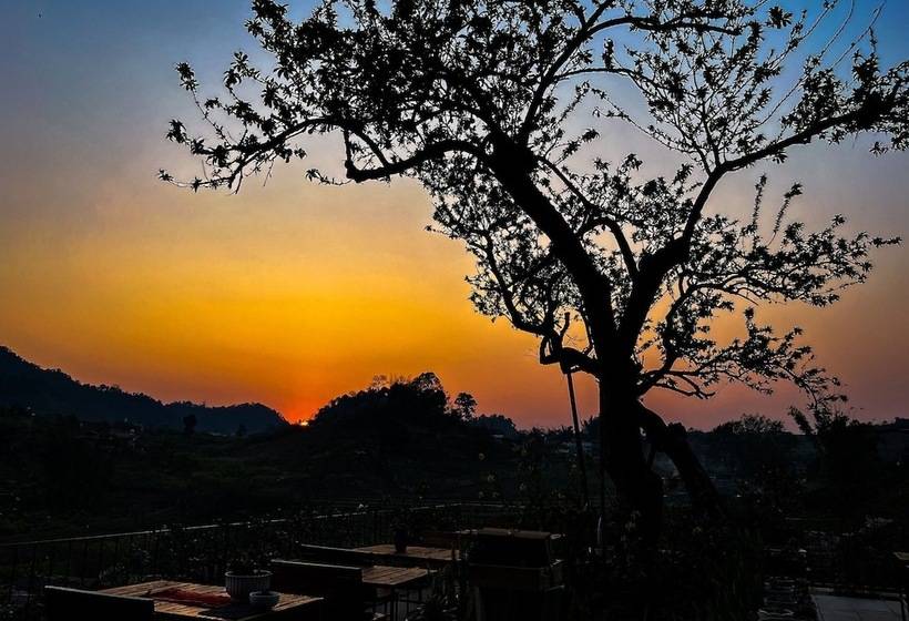 هتل Vigolando Van Ho Resort