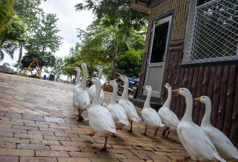 בית מלון כפרי Vrindavan Gopala Resort