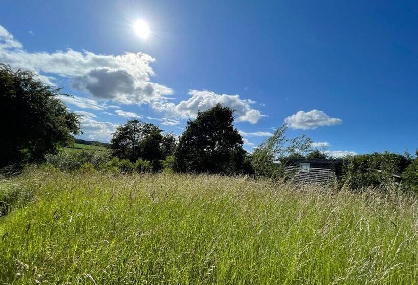 فندق Wellbank Shepherds Hut