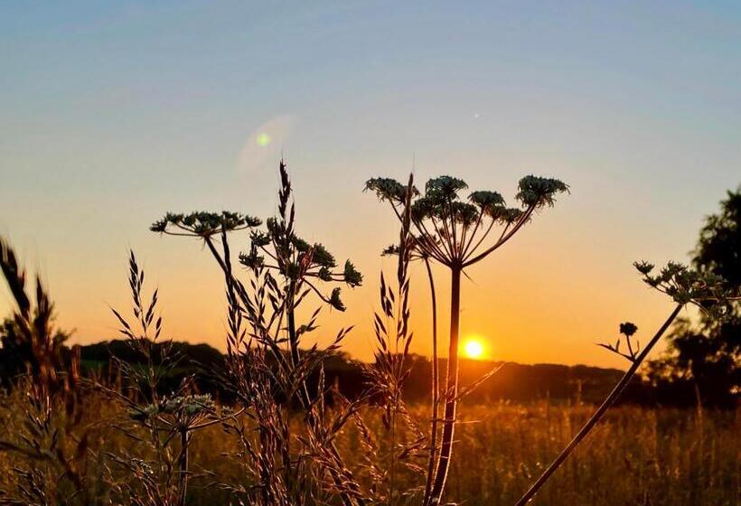 فندق Wellbank Shepherds Hut