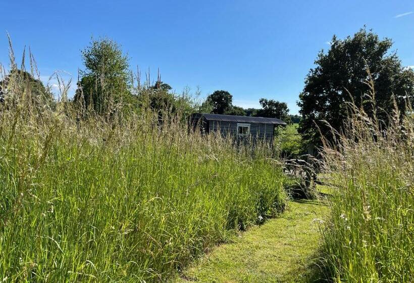 فندق Wellbank Shepherds Hut
