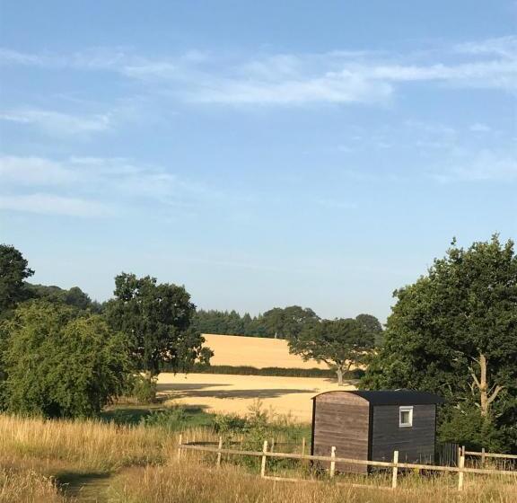 فندق Wellbank Shepherds Hut