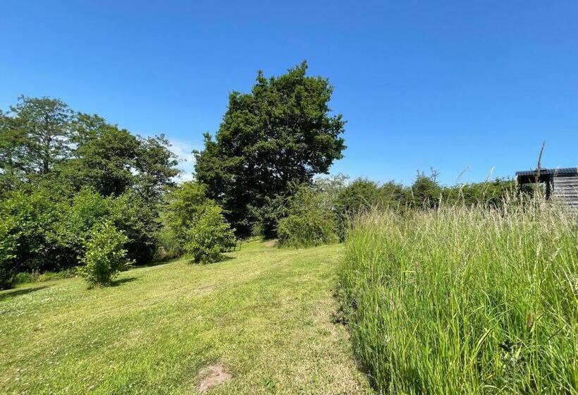 فندق Wellbank Shepherds Hut