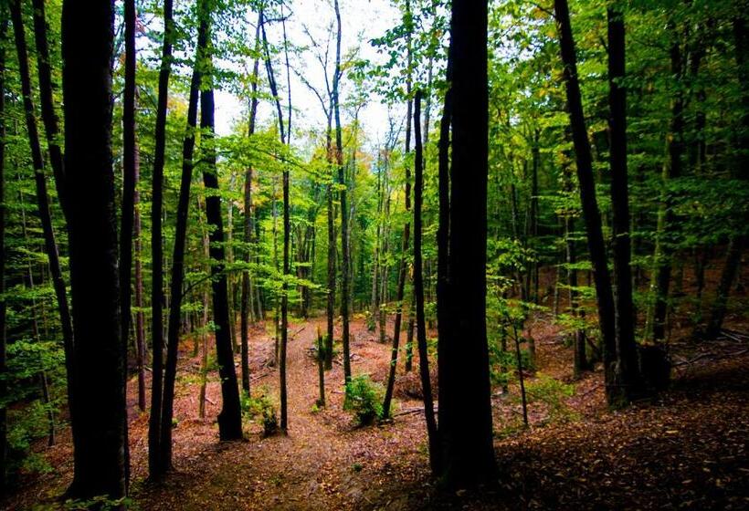 Iliada Hotel Kaz Daglari