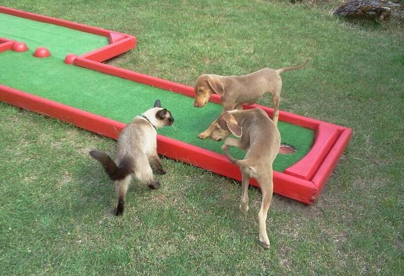 Iliada Hotel Kaz Daglari