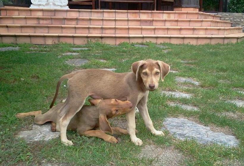 Iliada Hotel Kaz Daglari