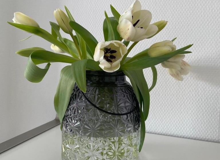 פנסיון B&b Vitaflow Met Sauna