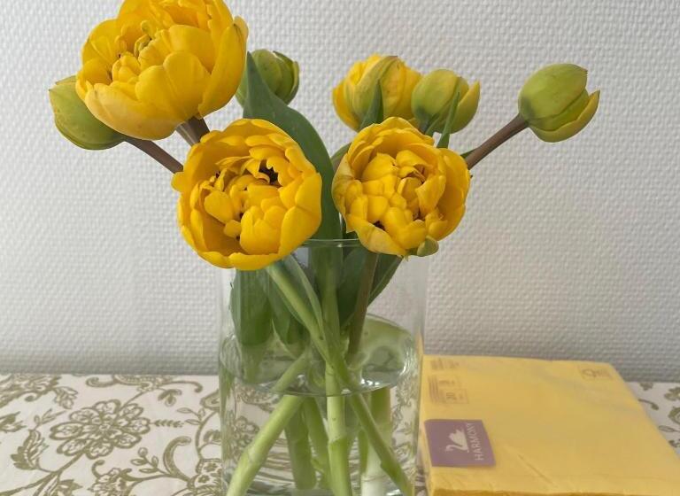 פנסיון B&b Vitaflow Met Sauna