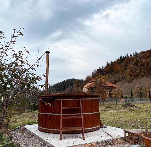 Пансион Casa Irina