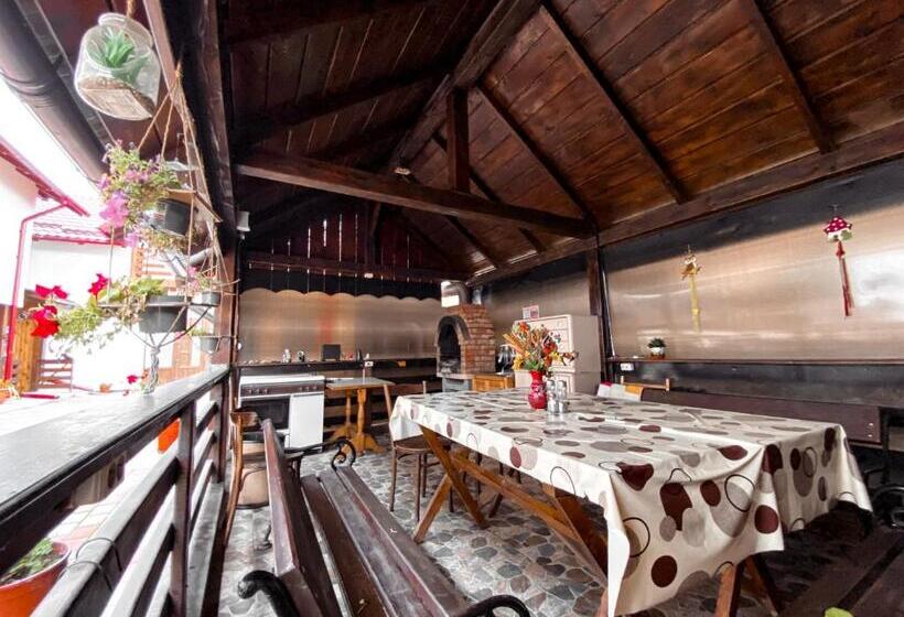 Пансион Casa Irina