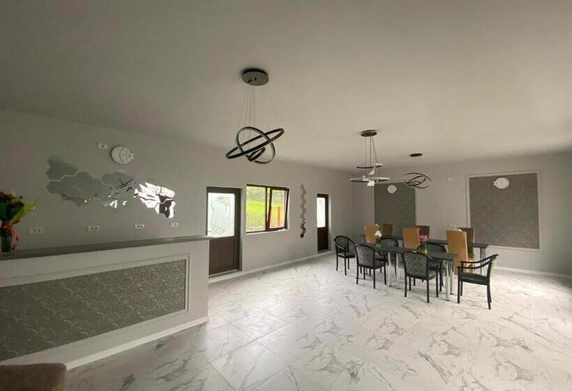 Пансион Casa Irina