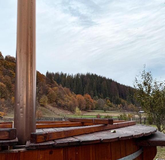 Пансион Casa Irina