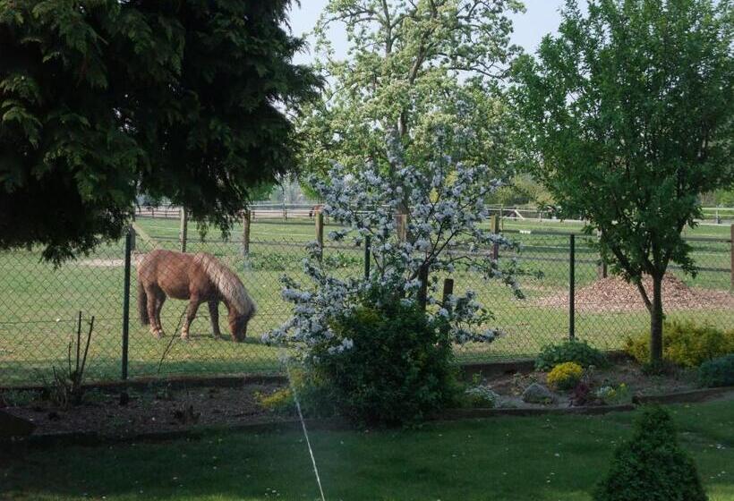 膳宿费 Gocher Berghof Ferienwohnungen Langanke