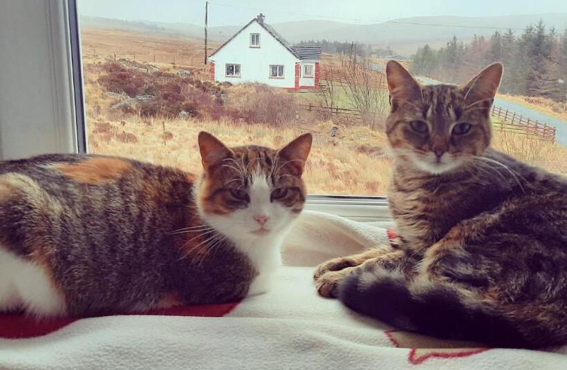 פנסיון Heather House On The Wild Atlantic Way