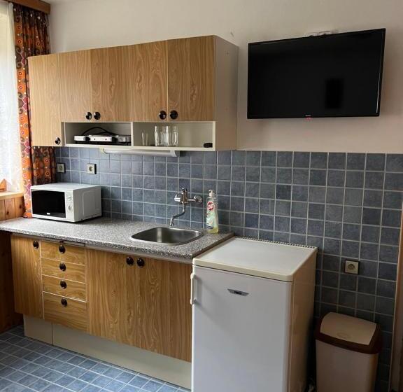 پانسیون Bílá Labuť Horský Hotýlek