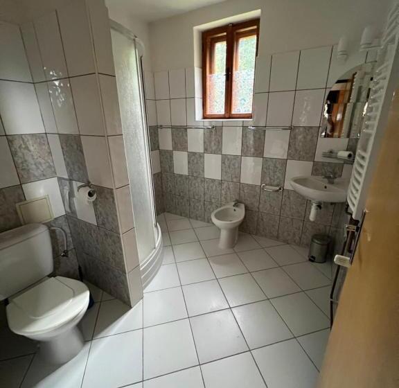 پانسیون Bílá Labuť Horský Hotýlek