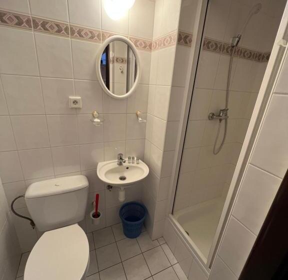 پانسیون Bílá Labuť Horský Hotýlek