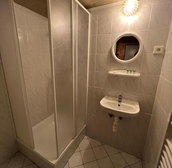 پانسیون Bílá Labuť Horský Hotýlek