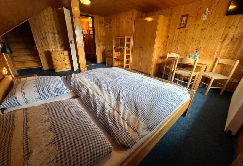 پانسیون Bílá Labuť Horský Hotýlek