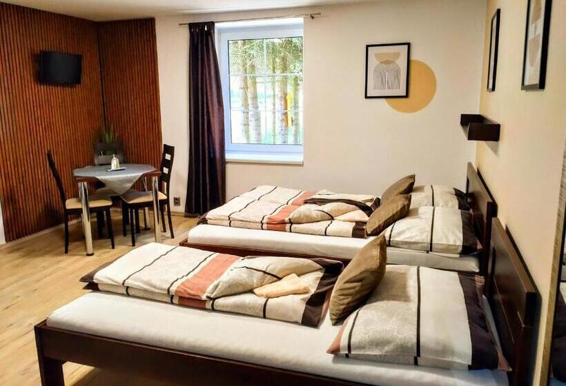 פנסיון Penzion Malé Lipno