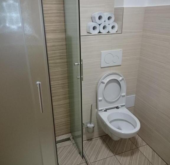 פנסיון Penzion Malé Lipno