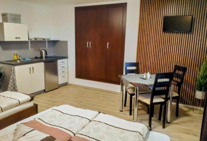 פנסיון Penzion Malé Lipno