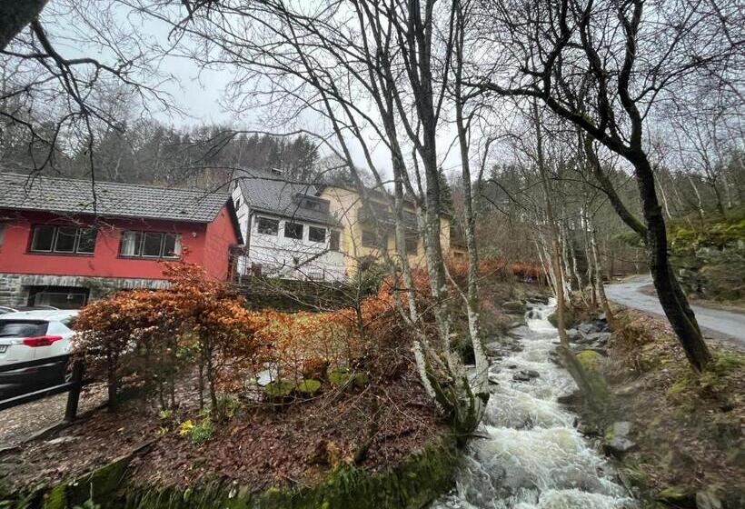 Пансион Rivendell I3