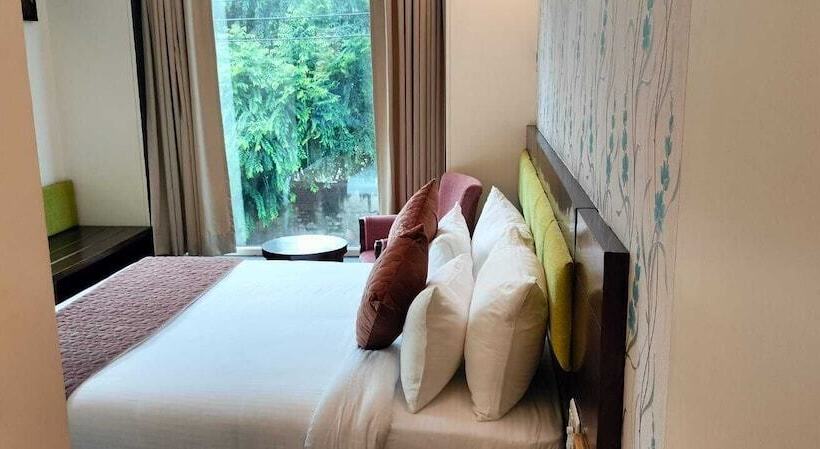 旅馆 Rosemallow Hotel New Delhi