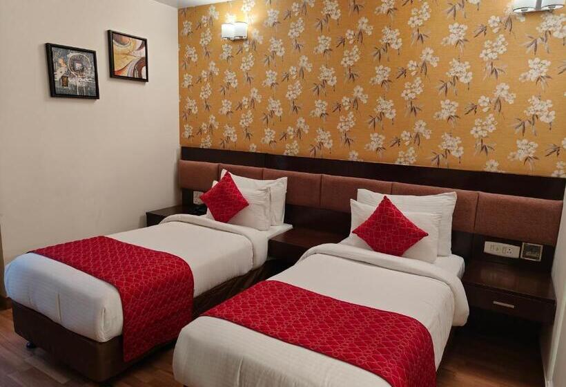 旅馆 Rosemallow Hotel New Delhi