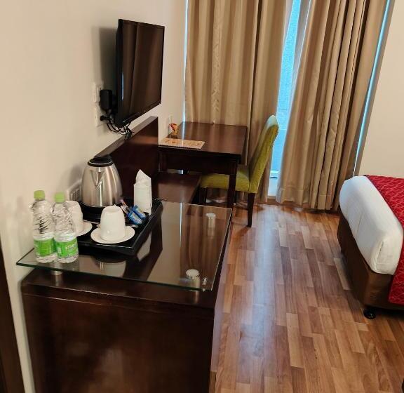 旅馆 Rosemallow Hotel New Delhi