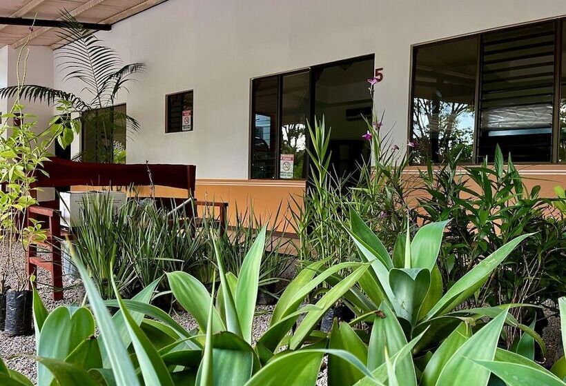 فندق صغير Whale Tail