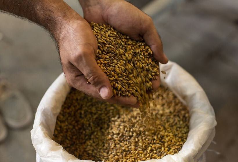 فندق صغير Whale Tail