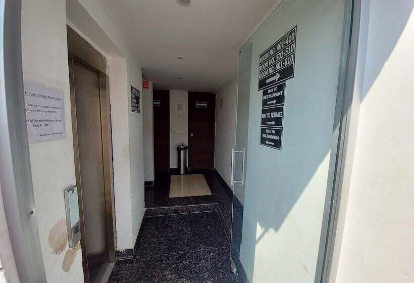 Forest View By Dl Hotels