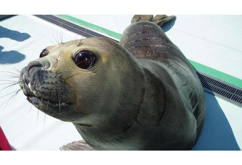 בית מלון כפרי Aji No Yado Michishio   Vacation Stay 93780v