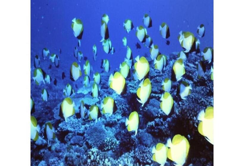 فندق Crystal Inn Onna   Vacation Stay 75692v