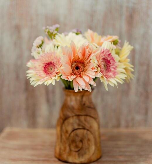 Отель Elephant Beach Club & Resort Samui