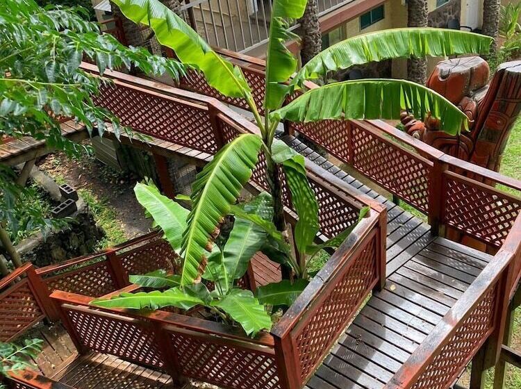 فندق Hare Rapa Nui By Chez Joseph