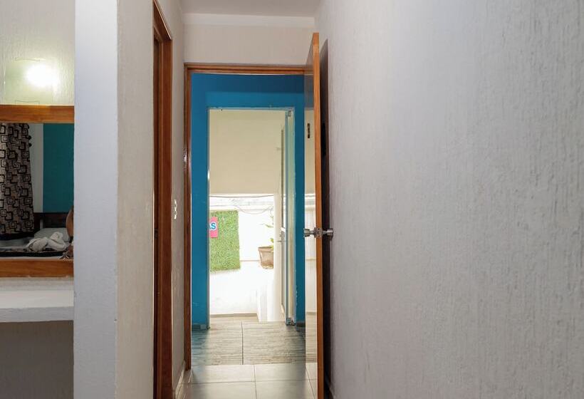 호텔 Laurel Cancún Centro