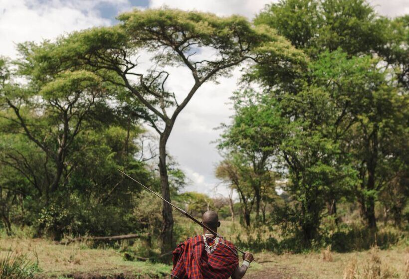 ホテル Ngorongoro Lodge Member of Meliá Collection