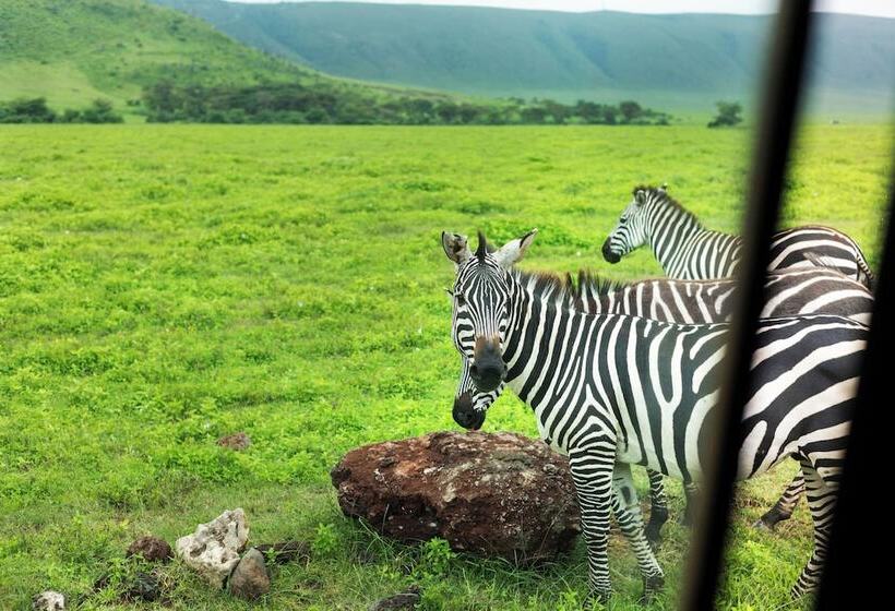ホテル Ngorongoro Lodge Member of Meliá Collection