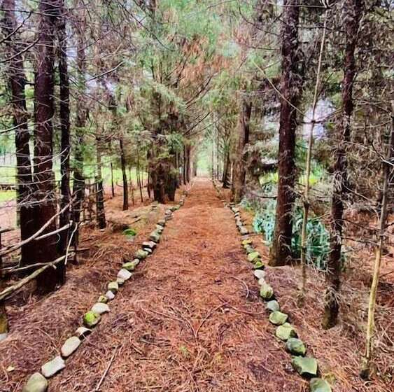 فندق Rancho Cumbre Monarca