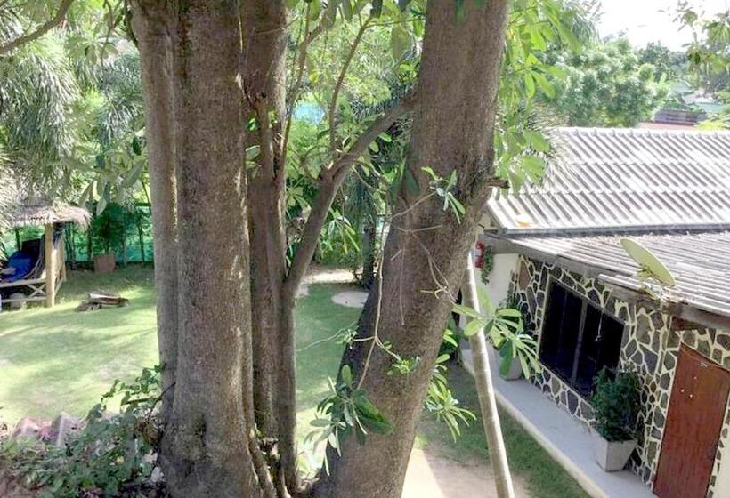 Hotel Wet! A Pool Party Hostel By Wild & Wandering