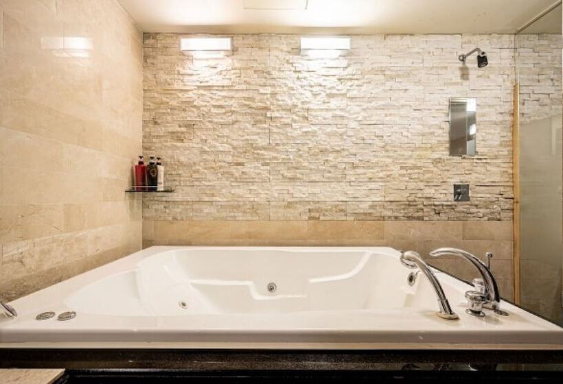 מוטל Ansan Chocolate