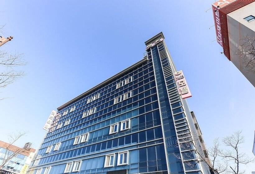 汽车旅馆  Gangneung Cats