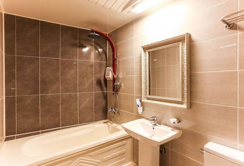 汽车旅馆  Gangneung Cats