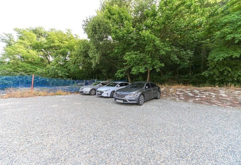 Мотель Gumi Geumosan Pink Rose