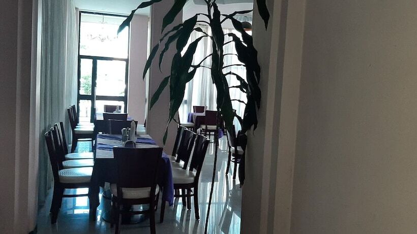 فندق Abay International