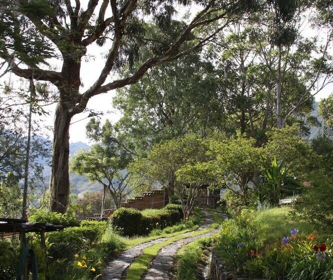 בית מלון כפרי Alma Nativa