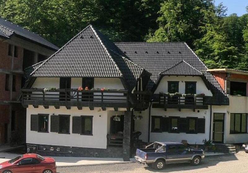 酒店 Baile Puturoasa