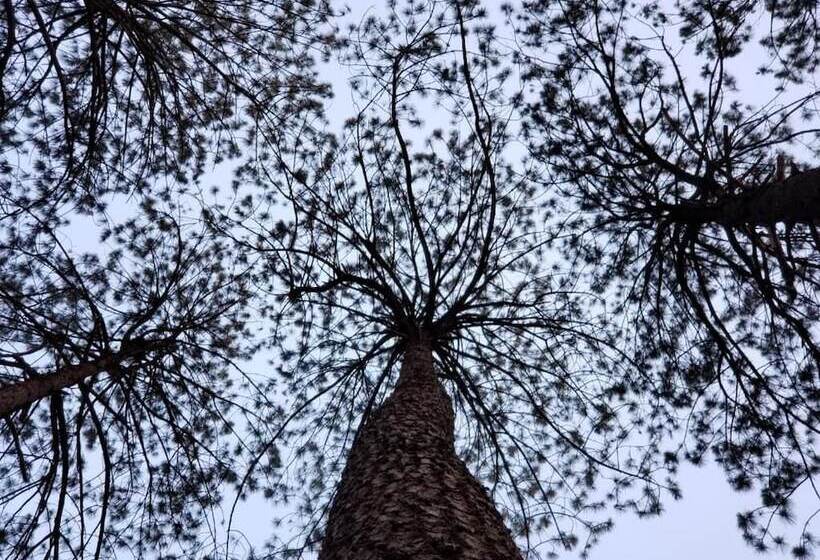 酒店 Glamping Rio Valle De Bravo